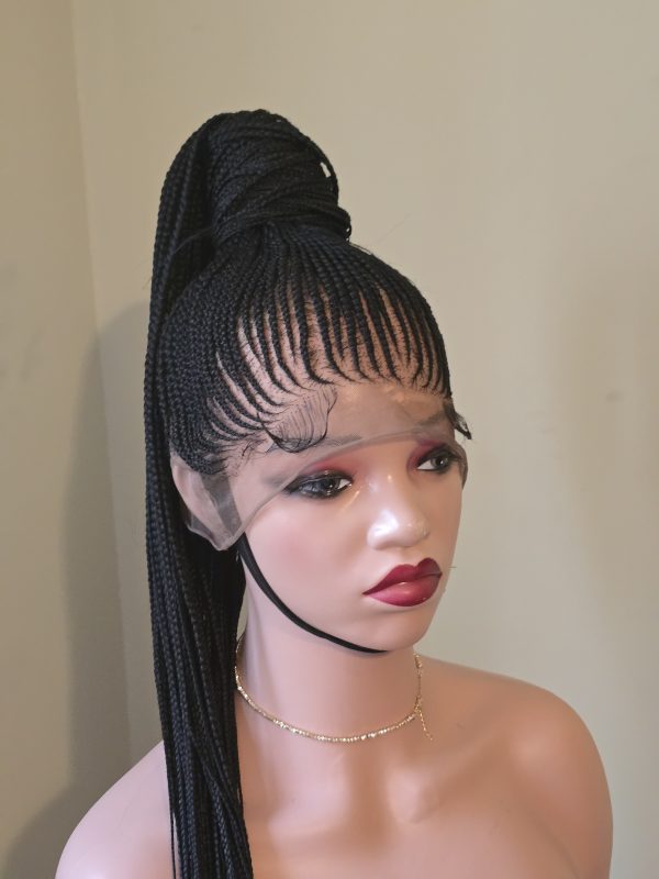 Skuku braided wig for women